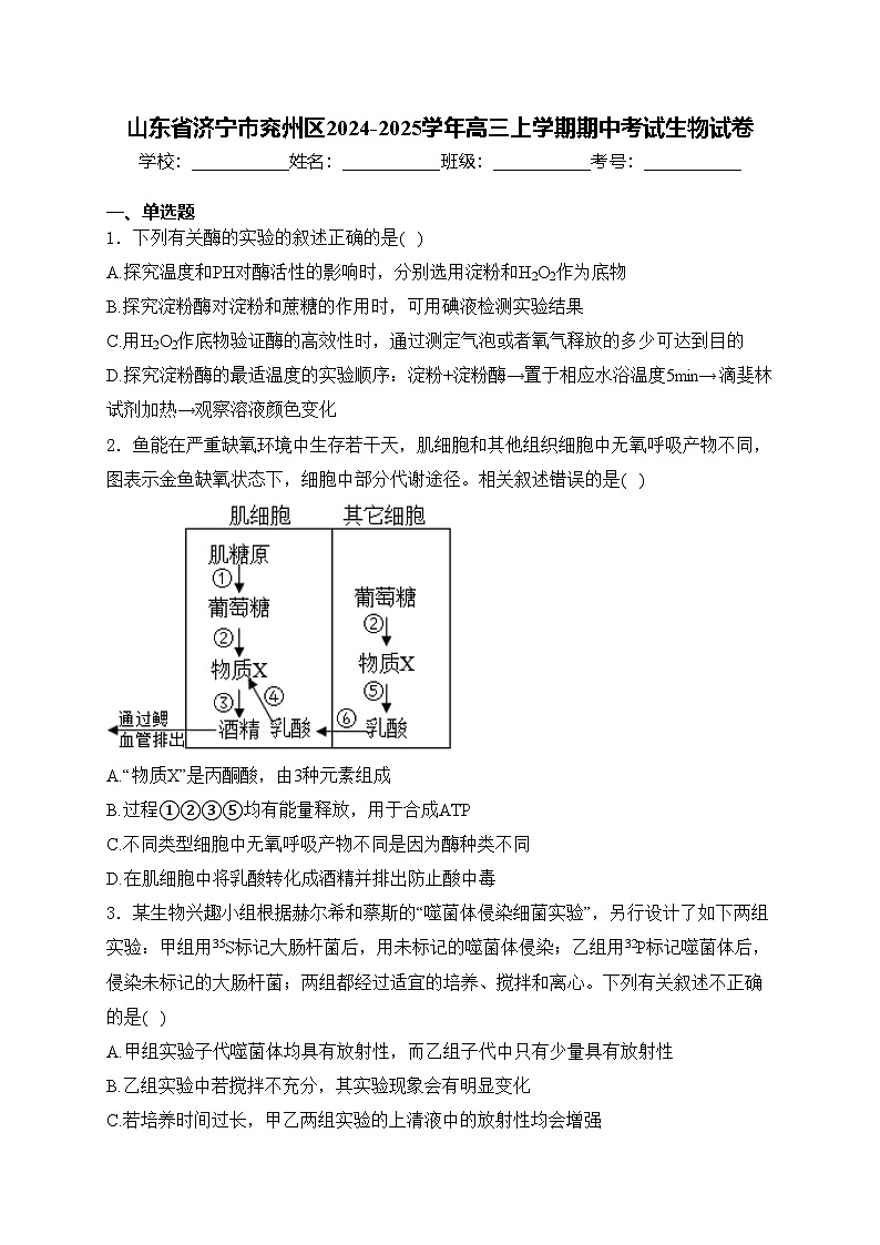 山东省济宁市兖州区2024-2025学年高三上学期期中考试生物试卷(含答案)第1页