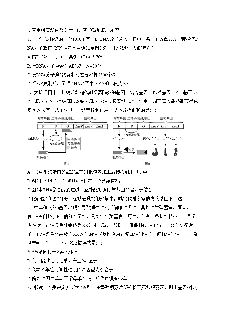 山东省济宁市兖州区2024-2025学年高三上学期期中考试生物试卷(含答案)第2页