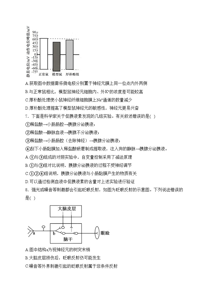 山东省日照市2024-2025学年高二上学期11月期中考试生物试卷(含答案)第3页