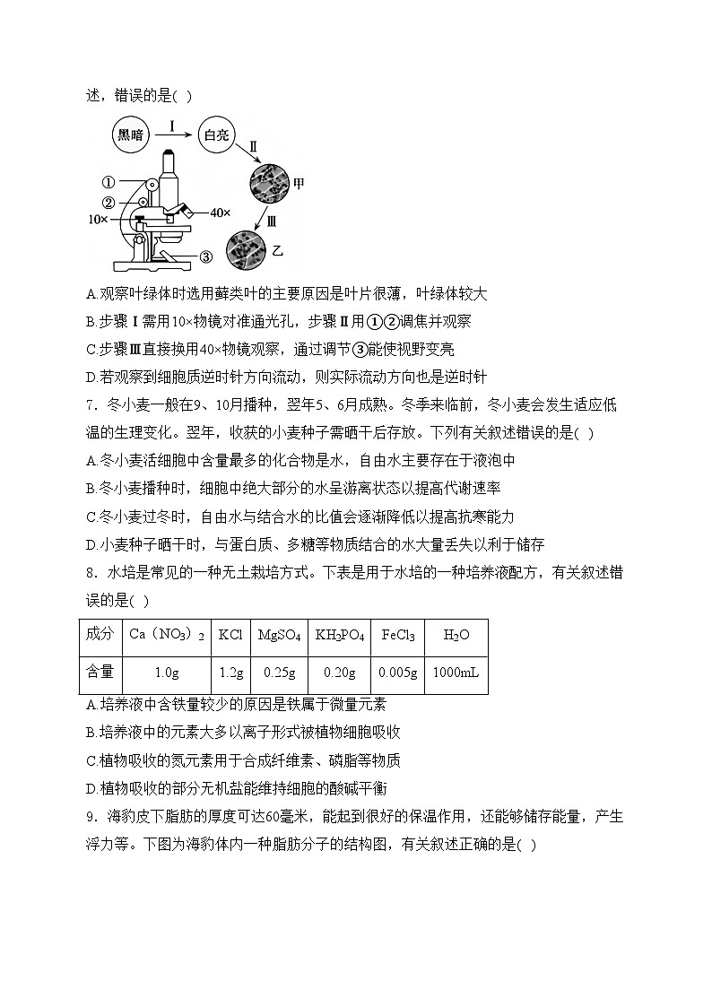 山西省晋城市多校2024-2025学年高一上学期期中测评考试生物试卷(含答案)第2页