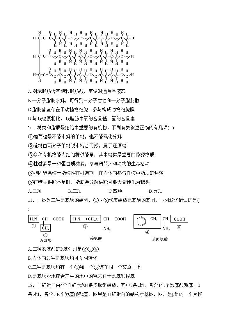 山西省晋城市多校2024-2025学年高一上学期期中测评考试生物试卷(含答案)第3页