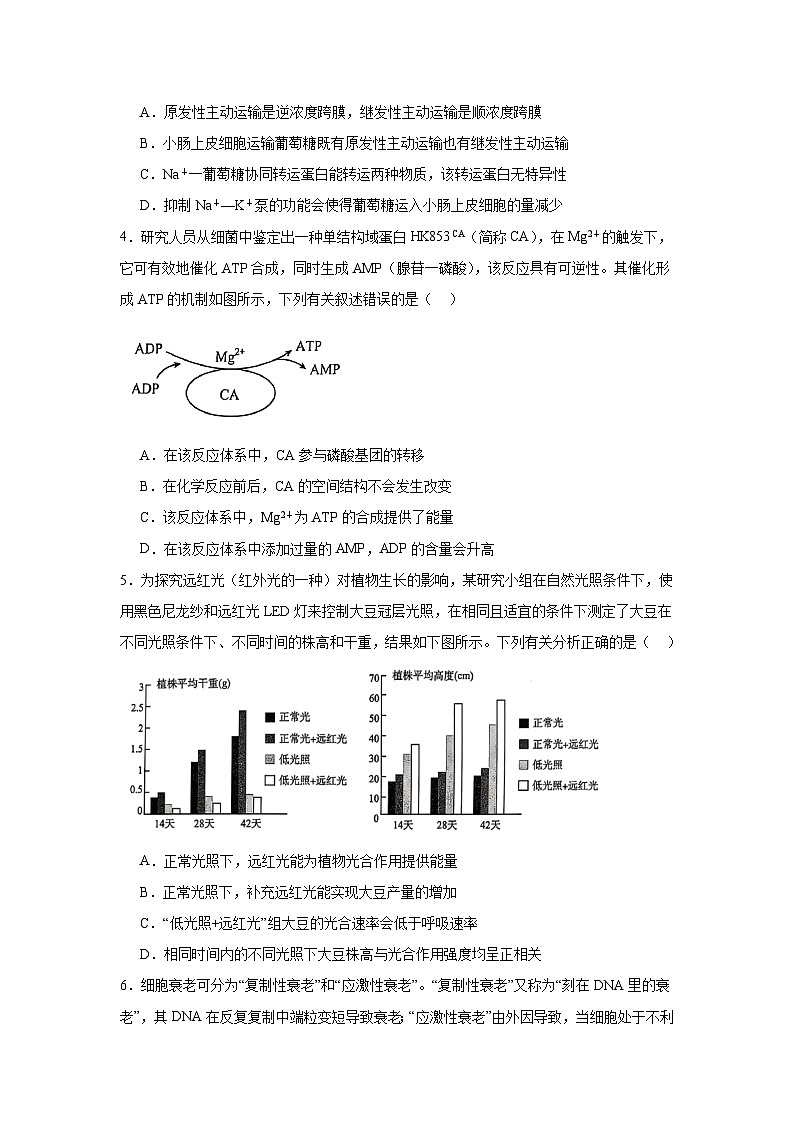 四川省雅安市2024—2025学年高三上学期第一次诊断性考试生物试卷第2页