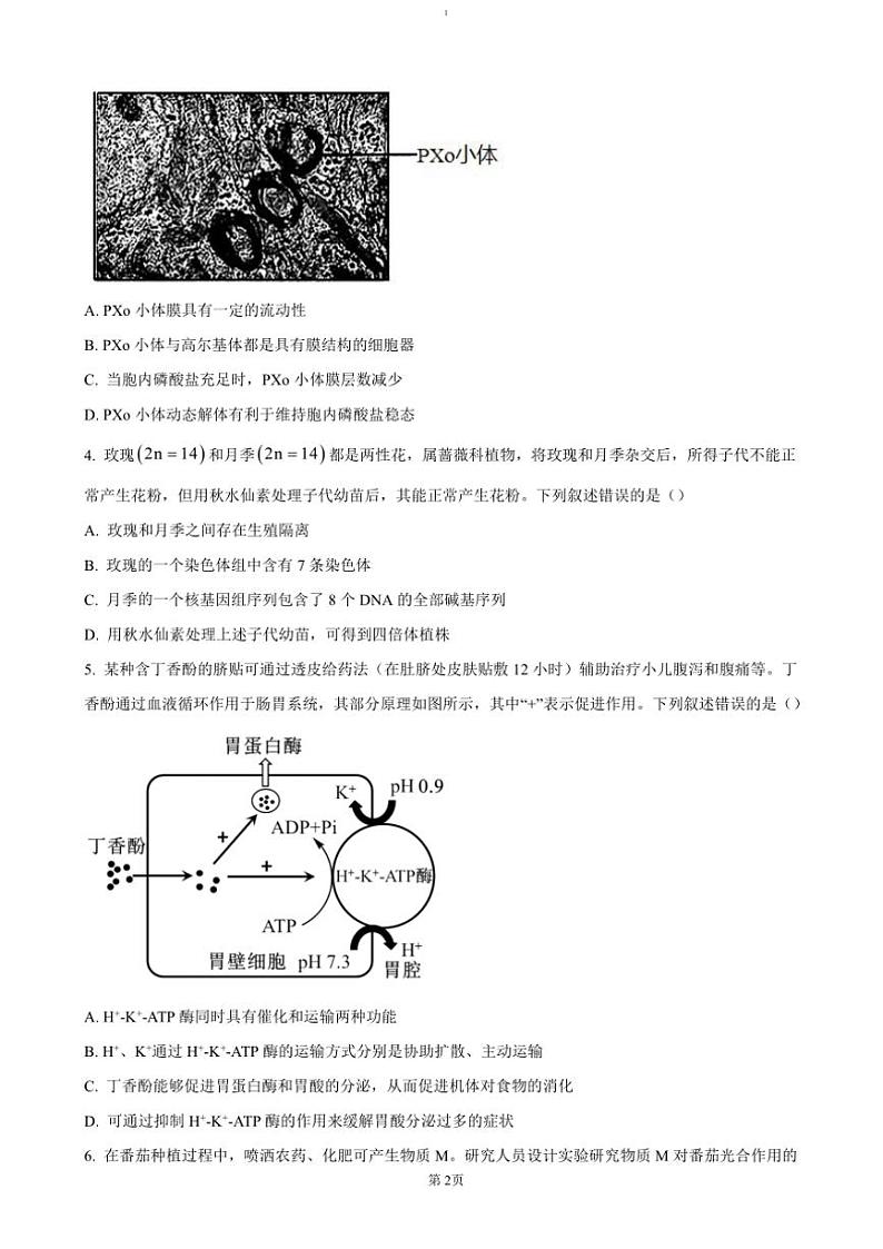 2024～2025学年湖北省学校高三(上)12月联考(月考)生物试卷(含答案)第2页