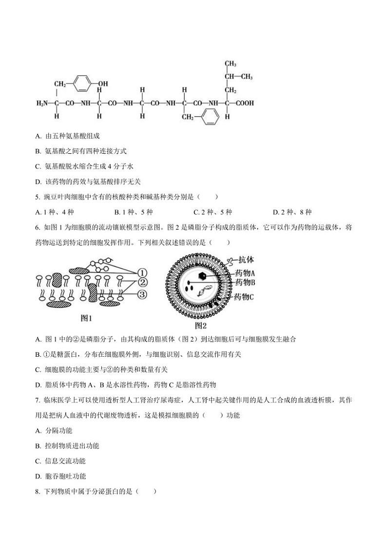 2023～2024学年陕西省西安市铁一中学高一(上)期末考试生物试卷(含答案)第2页