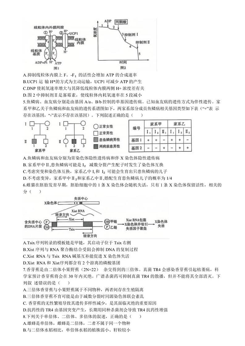 2024～2025学年山东省齐鲁名校联盟大联考(月考)高三(上)12月月考生物试卷(含答案)第2页