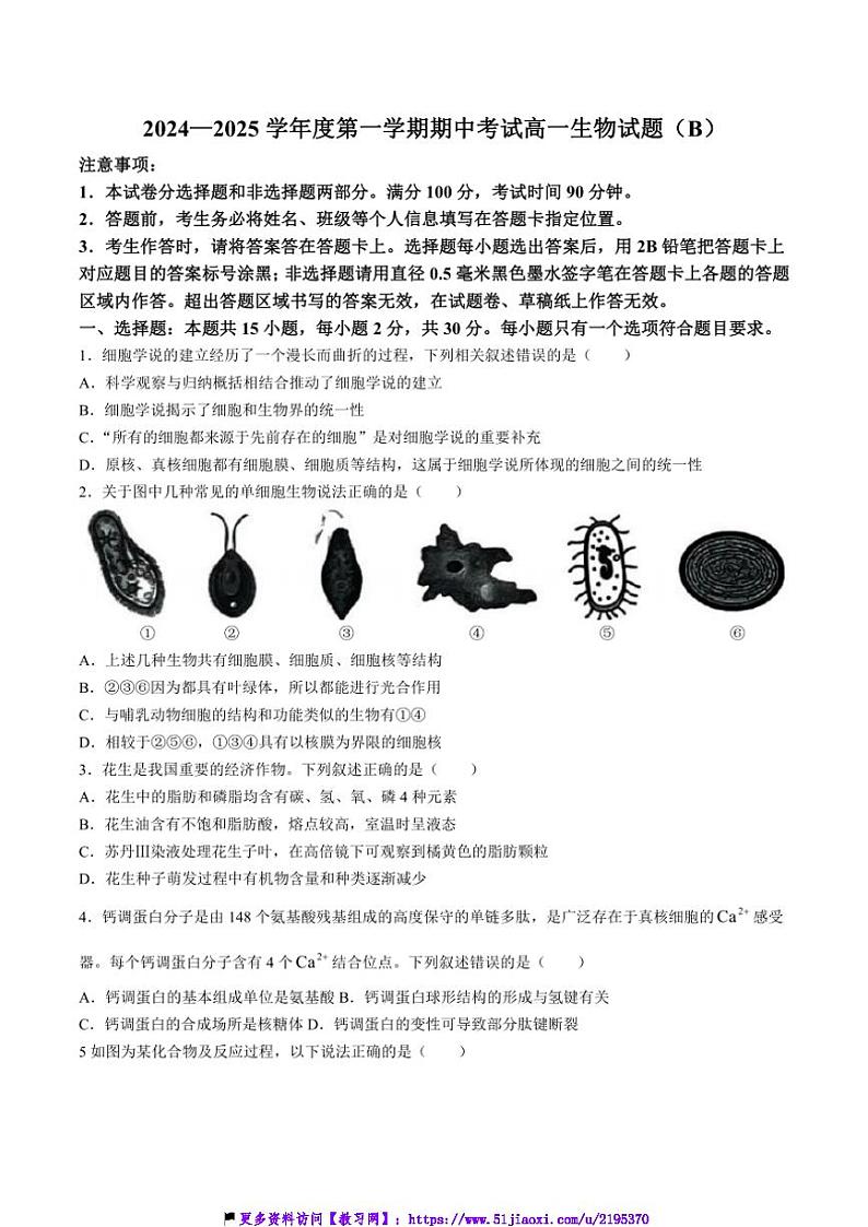 2024～2025学年山东省菏泽市高一(上)期中生物(B卷)试卷(含答案)第1页