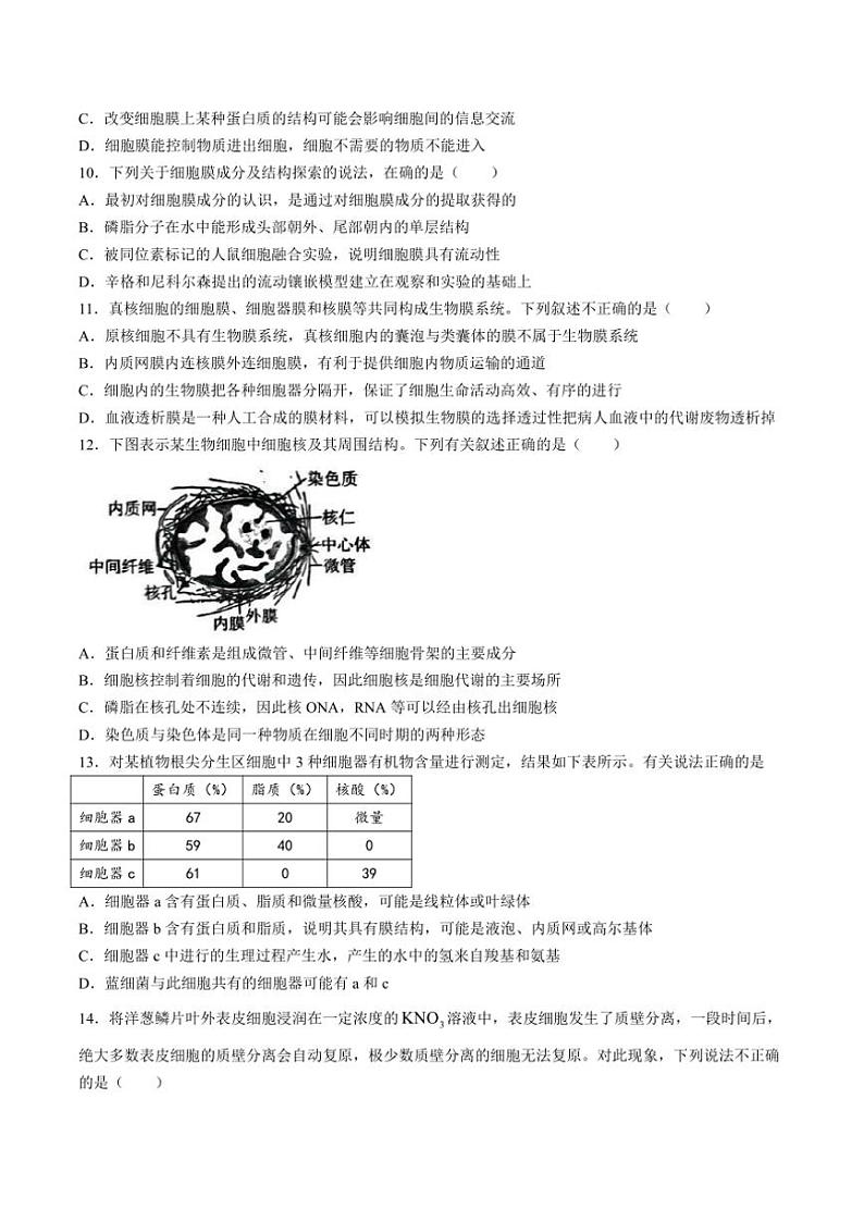 2024～2025学年山东省菏泽市高一(上)期中生物(B卷)试卷(含答案)第3页