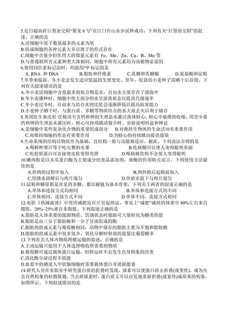 2024～2025学年广东省八校联盟高一(上)教学质量检测(二)生物答案试卷(含解析)第2页