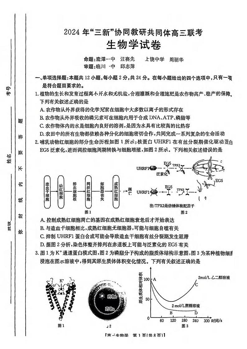 生物丨江西省三新协同教研共同体2025届高三12月联考生物试卷及答案第1页