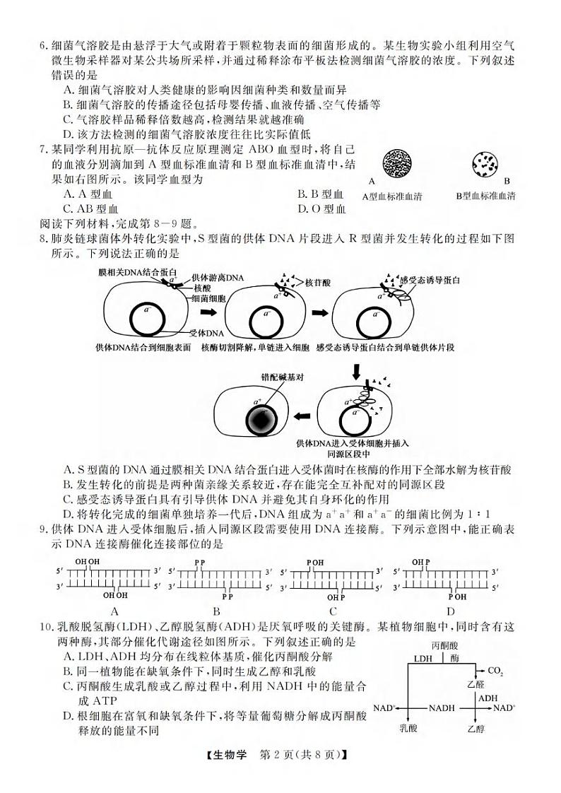 生物丨浙江省强基联盟2025届高三12月联考生物试卷及答案第2页