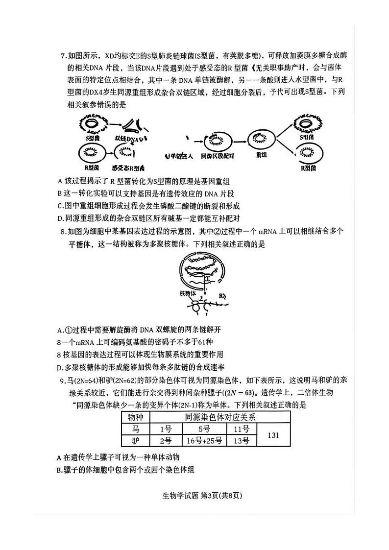 安徽省2024-2025学年高三上学期12月联考生物试卷（PDF版，无答案）第3页
