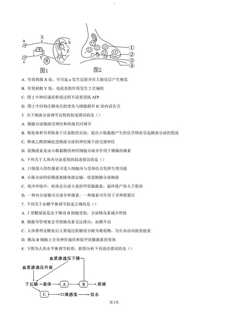 2024～2025学年江苏省扬州市高邮市高二(上)期中生物试卷(含答案)第2页