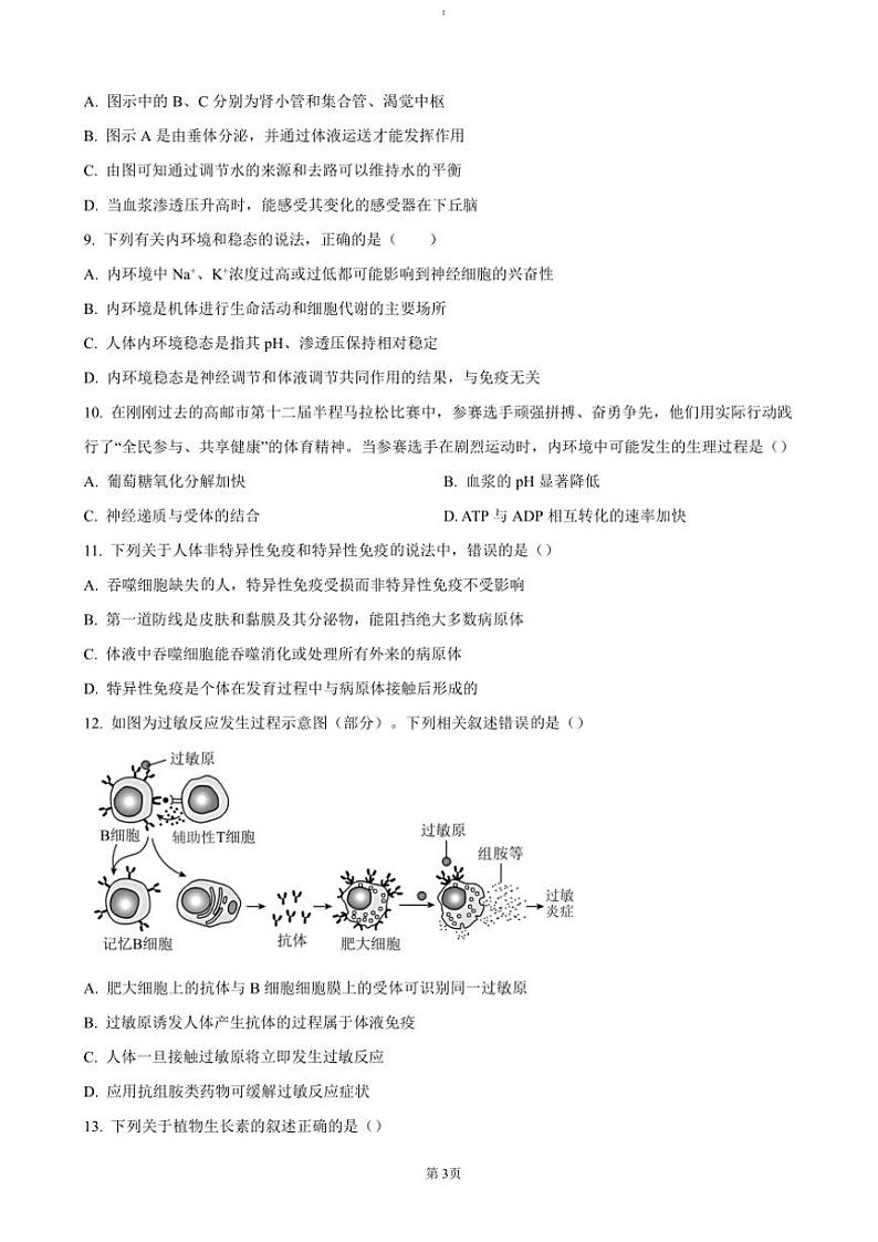 2024～2025学年江苏省扬州市高邮市高二(上)期中生物试卷(含答案)第3页