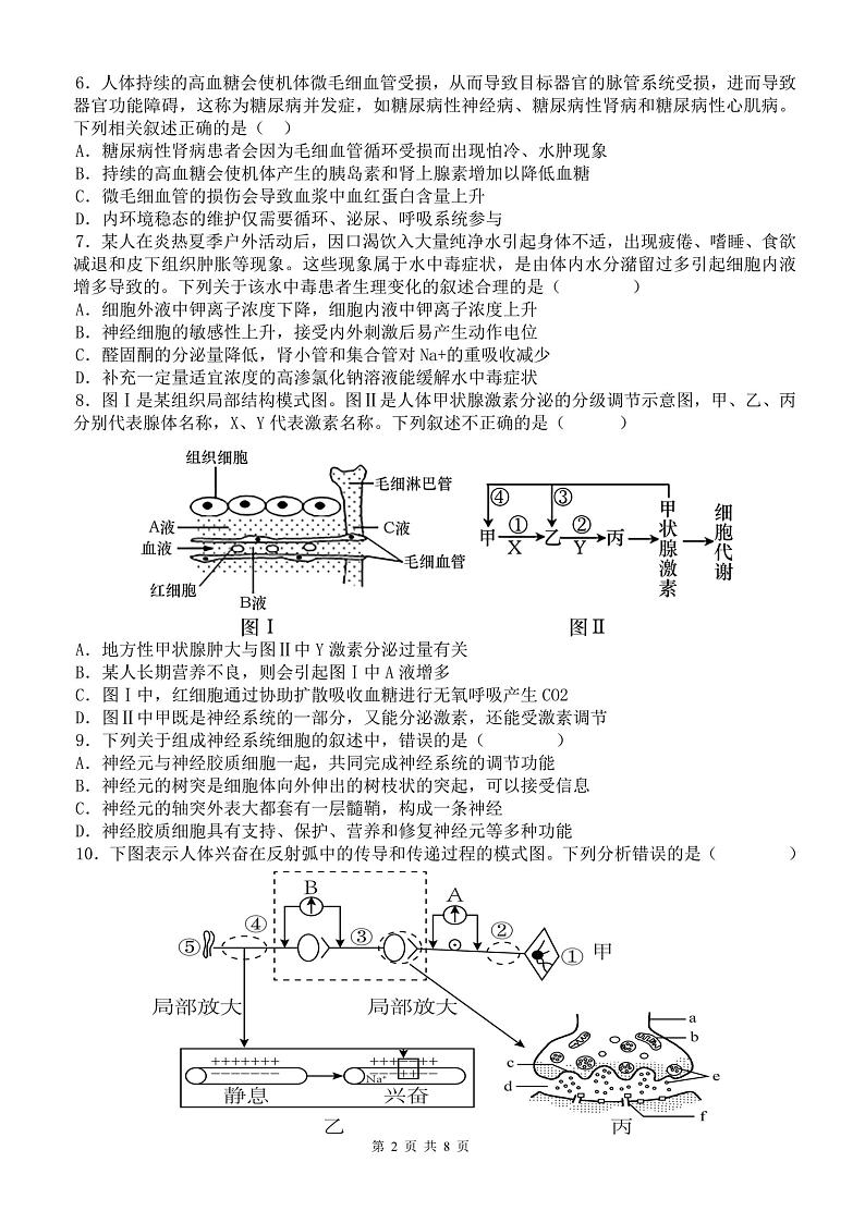 福建省福州市鼓山中学2024-2025学年高二上学期期中考试生物试题第2页