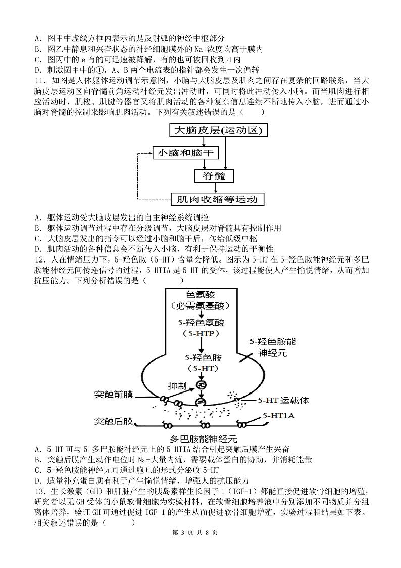 福建省福州市鼓山中学2024-2025学年高二上学期期中考试生物试题第3页
