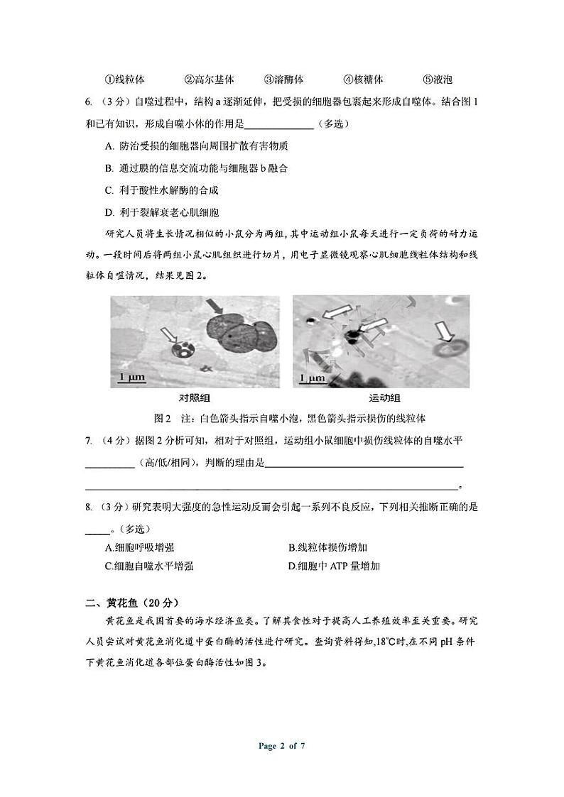 上海市浦东新区2023-2024学年度高二下学期期末教学质量检测生物学（合格考）模拟试卷第2页