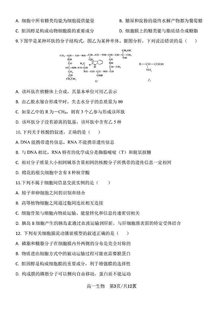 山东省济南西城实验中学2024-2025学年高一上学期12月月考生物试题 第3页