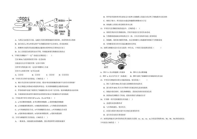 重庆市南坪中学校2024-2025学年高一上学期12月月考生物试题第2页