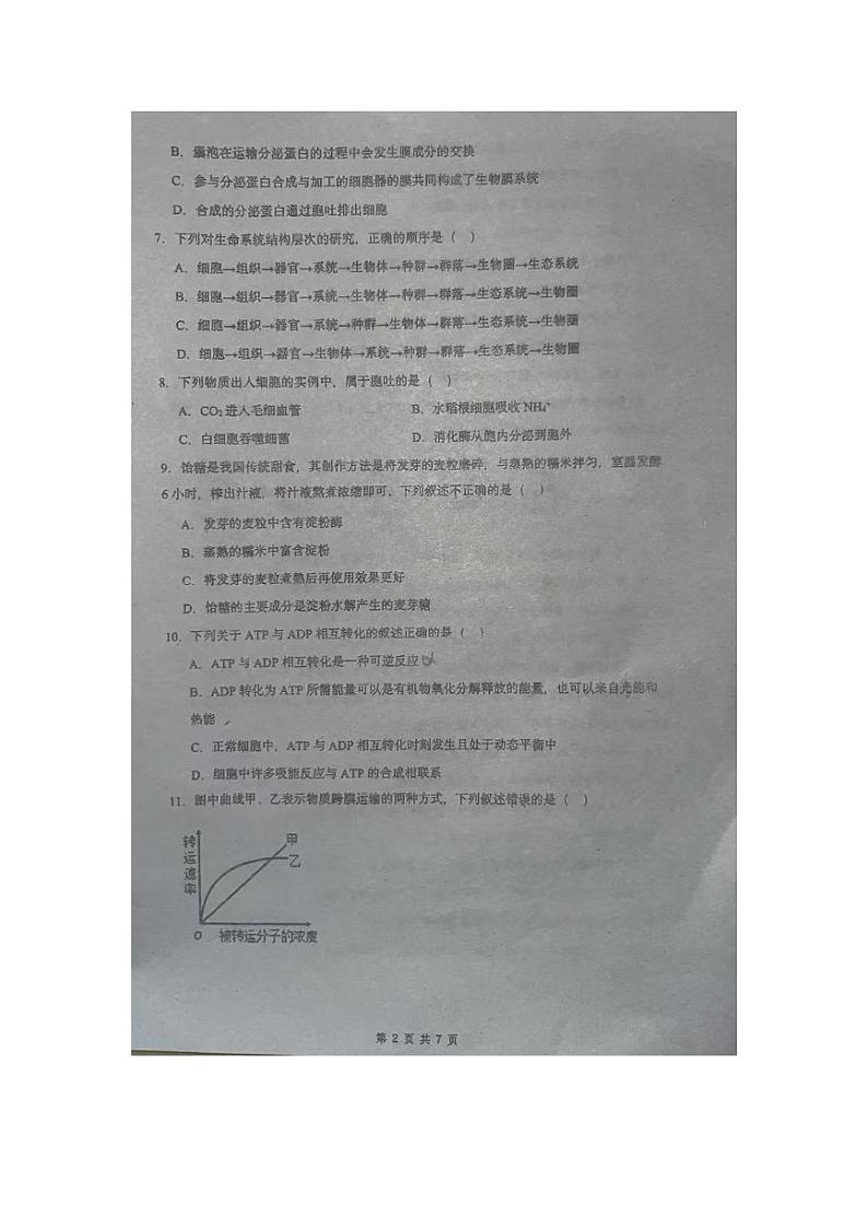 广东省揭阳市揭东区第二中学2024-2025学年高一上学期第二次月考生物试卷第2页