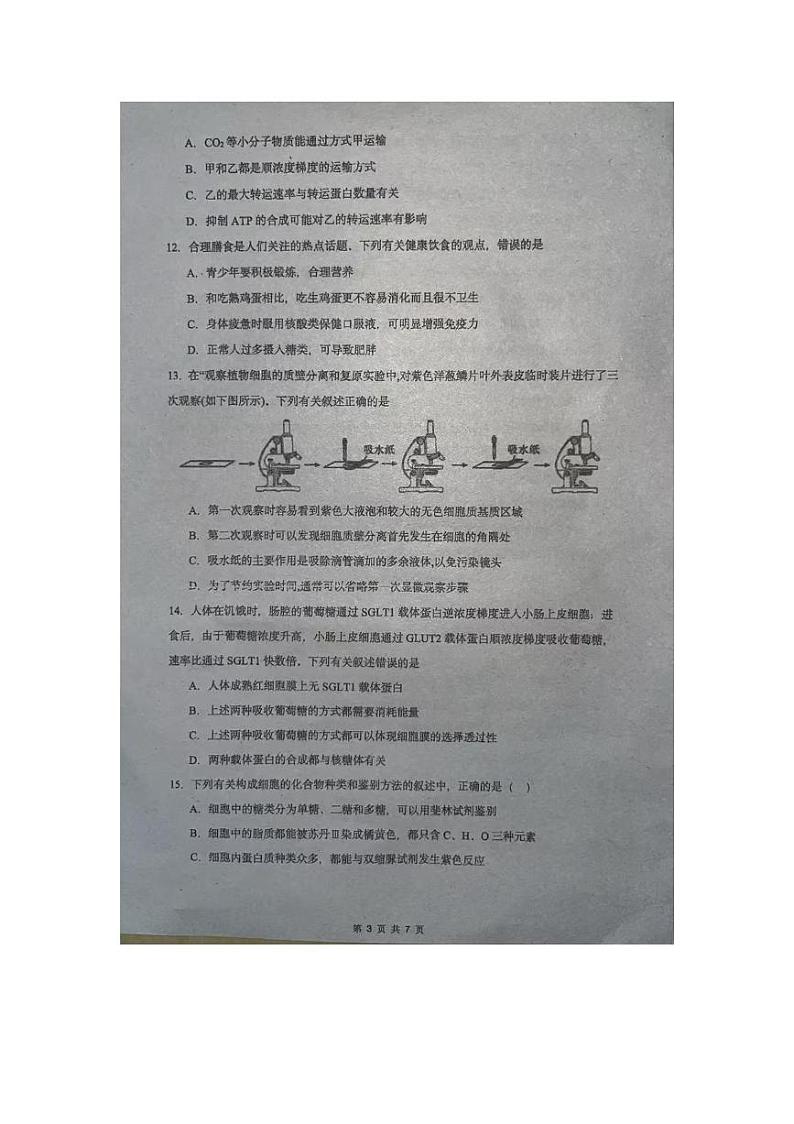 广东省揭阳市揭东区第二中学2024-2025学年高一上学期第二次月考生物试卷第3页