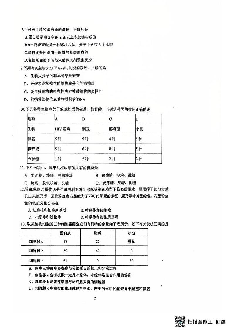 江苏省扬州市广陵区红桥高级中学2024-2025学年高一上学期12月月考生物试题第2页