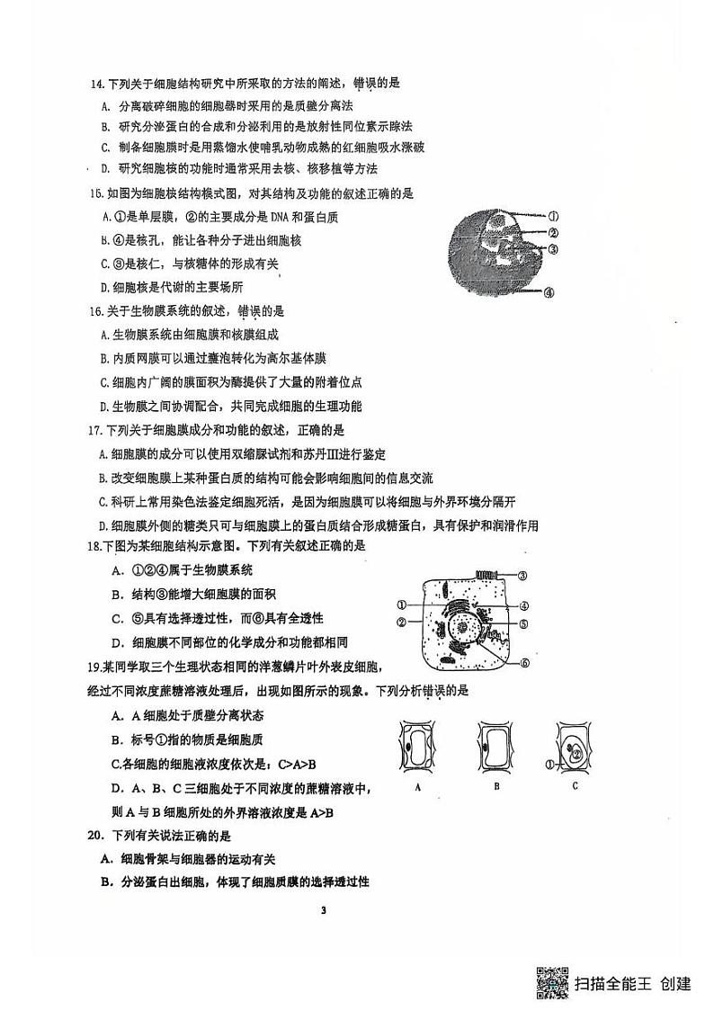 江苏省扬州市广陵区红桥高级中学2024-2025学年高一上学期12月月考生物试题第3页