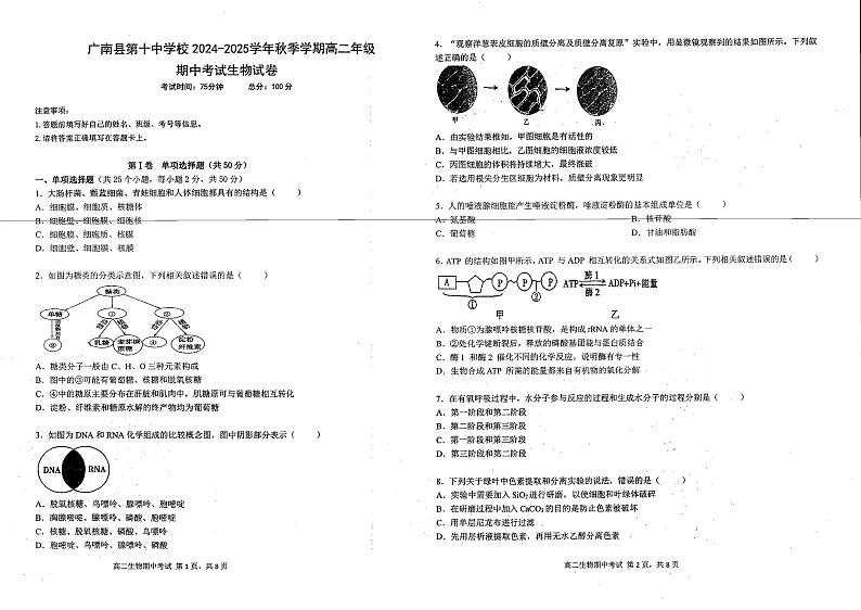 云南省文山壮族苗族自治州广南县第十中学校2024-2025学年高二上学期11月期中考试生物试题第1页