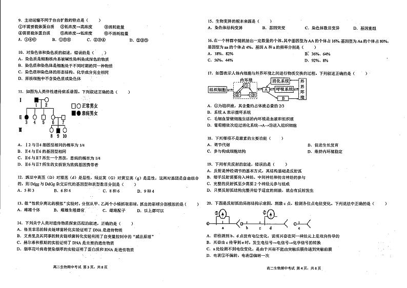 云南省文山壮族苗族自治州广南县第十中学校2024-2025学年高二上学期11月期中考试生物试题第2页
