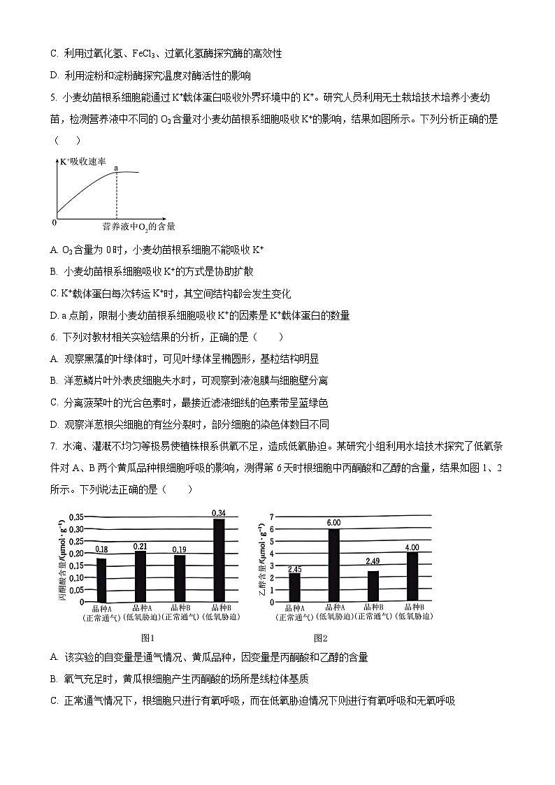 2025届四川省眉山市仁寿县高三一模生物试题  Word版无答案第2页
