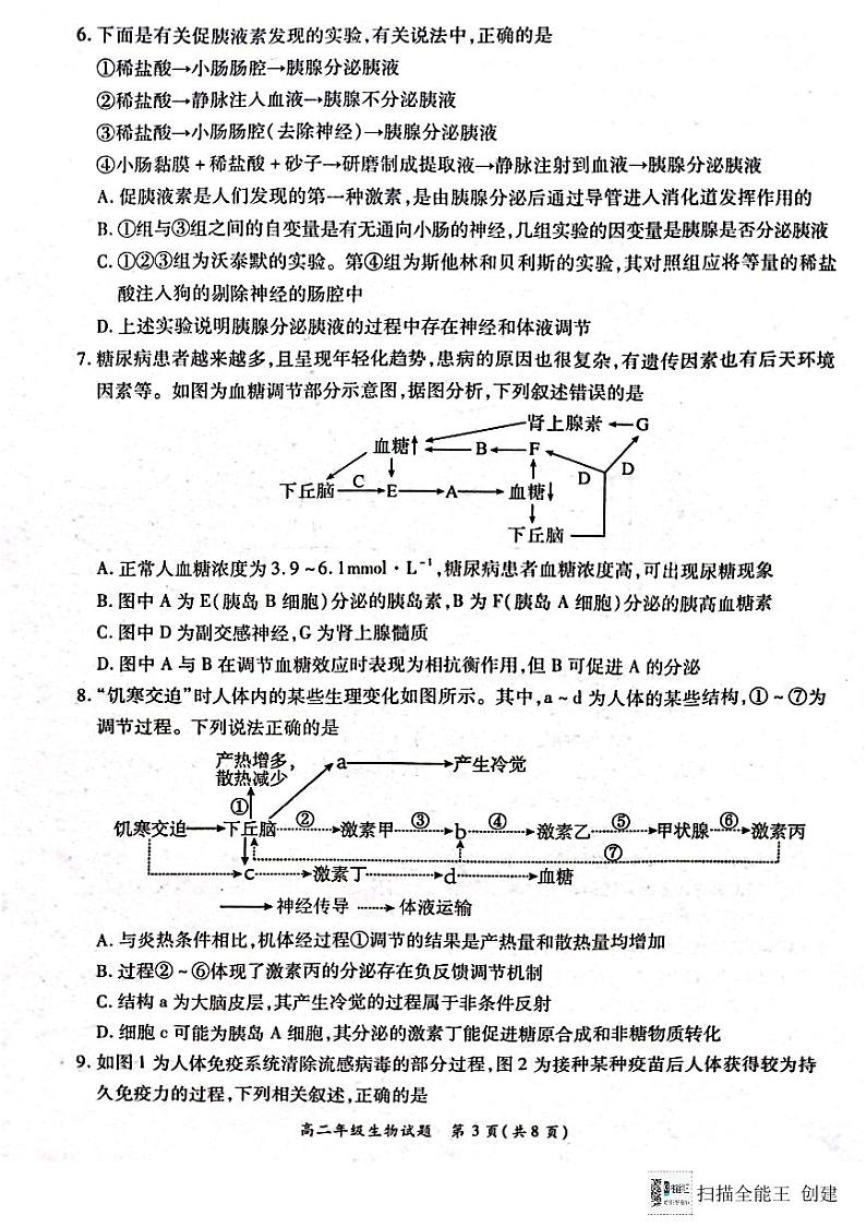 河南省南阳市六校2024-2025学年高二上学期12月联考生物试卷（PDF版附解析）第3页