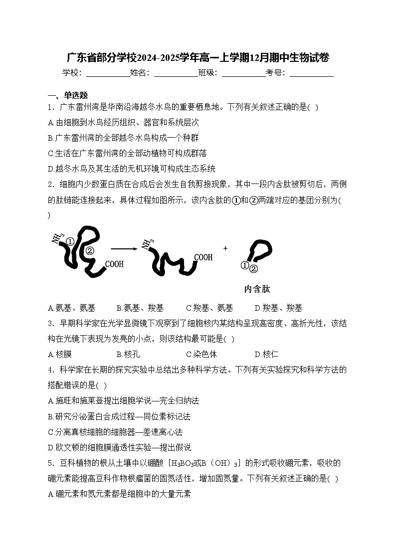 广东省部分学校2024-2025学年高一上学期12月期中生物试卷(含答案)第1页