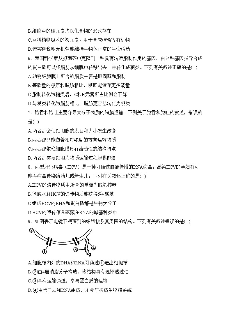 广东省部分学校2024-2025学年高一上学期12月期中生物试卷(含答案)第2页