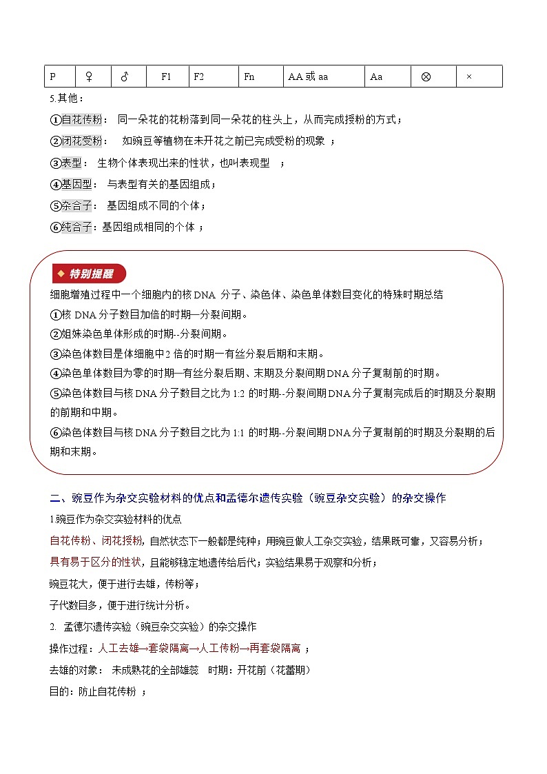 专题07 遗传因子的发现（知识梳理+2大考点精讲精练+实战训练）（解析版）第3页