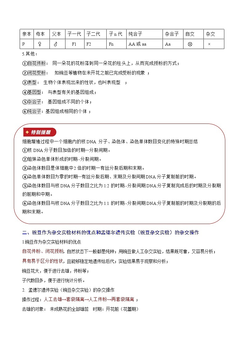 专题07 遗传因子的发现（知识梳理+2大考点精讲精练+实战训练）（原卷版）第3页
