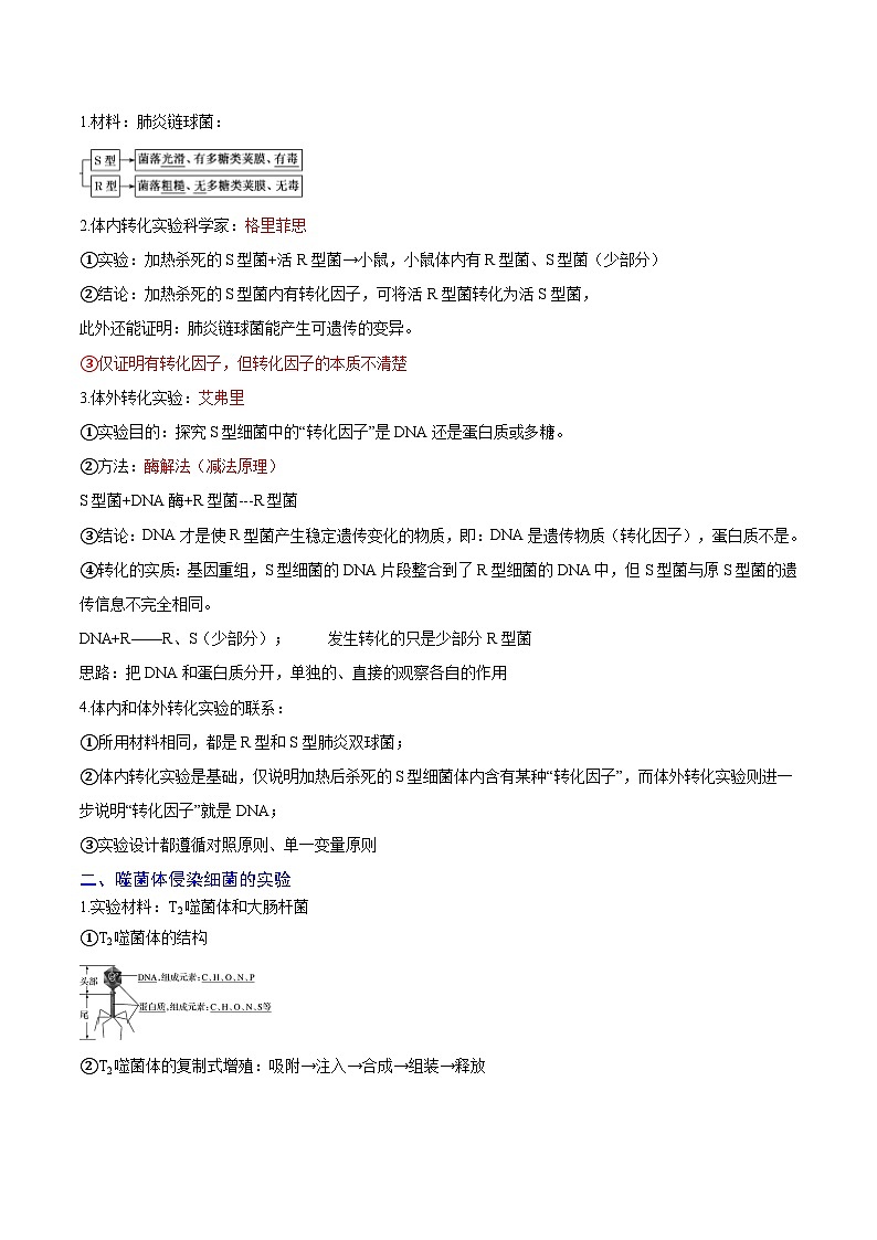 专题09 基因的本质（知识梳理+4大考点精讲精练+实战训练）（解析版）第2页