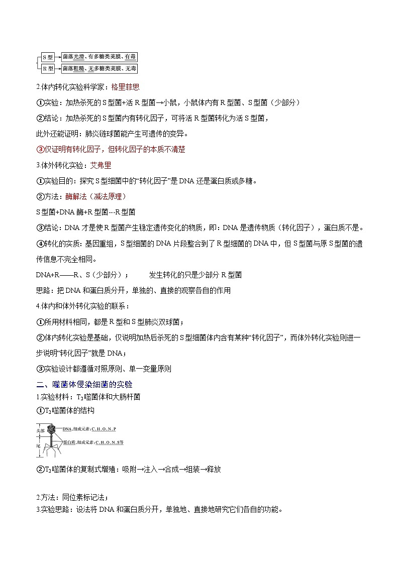 专题09 基因的本质（知识梳理+4大考点精讲精练+实战训练）（原卷版）第2页