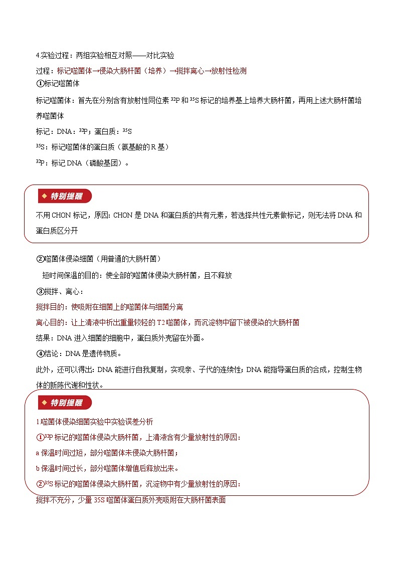 专题09 基因的本质（知识梳理+4大考点精讲精练+实战训练）（原卷版）第3页