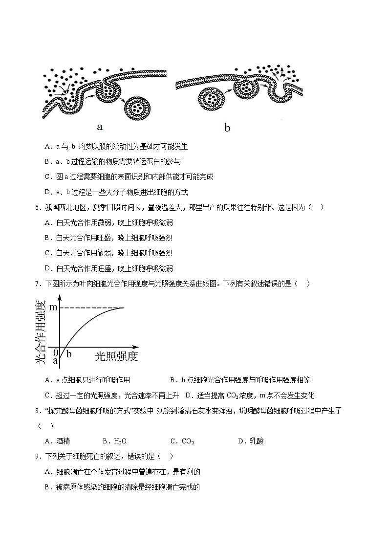 学考模拟测试卷01（原卷版）第2页