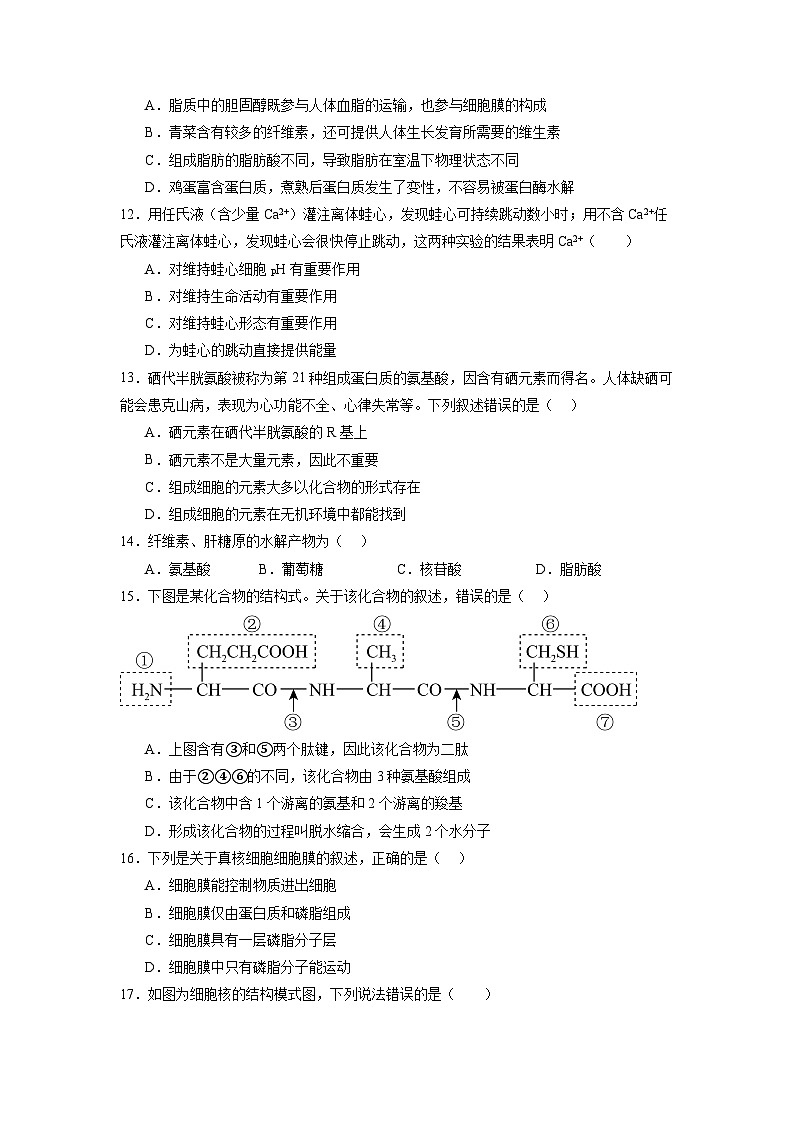 必修1综合测试卷（原卷版）第3页