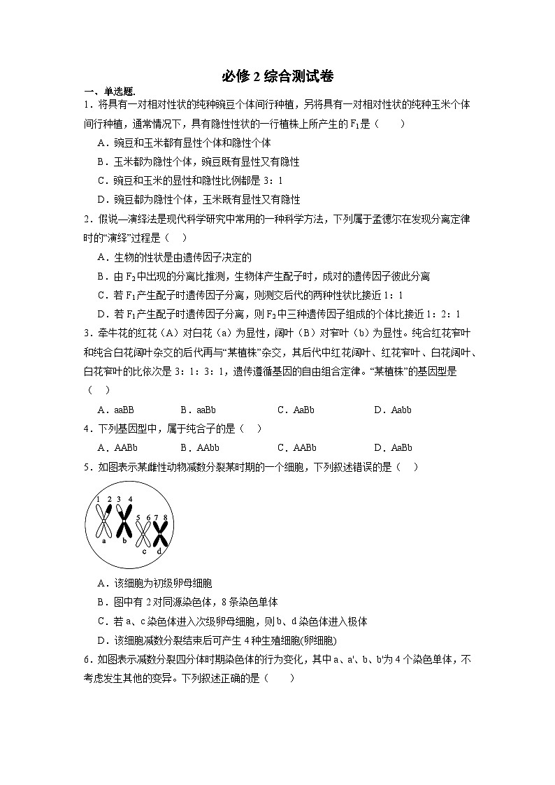 必修2综合测试卷（原卷版）第1页