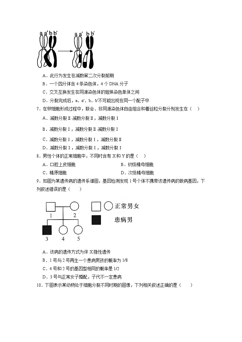 必修2综合测试卷（原卷版）第2页