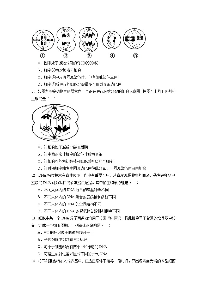必修2综合测试卷（原卷版）第3页