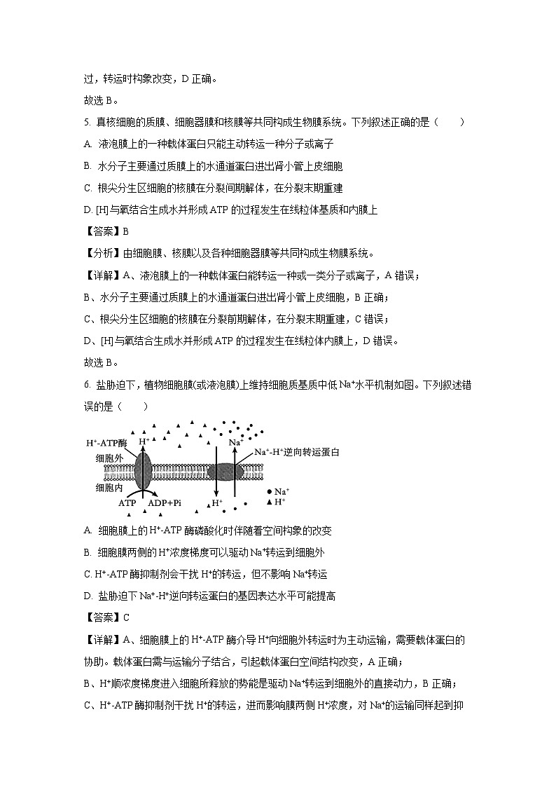 江苏省常州市常州联盟校2024-2025学年高三（上）10月月考生物试卷（解析版）第3页