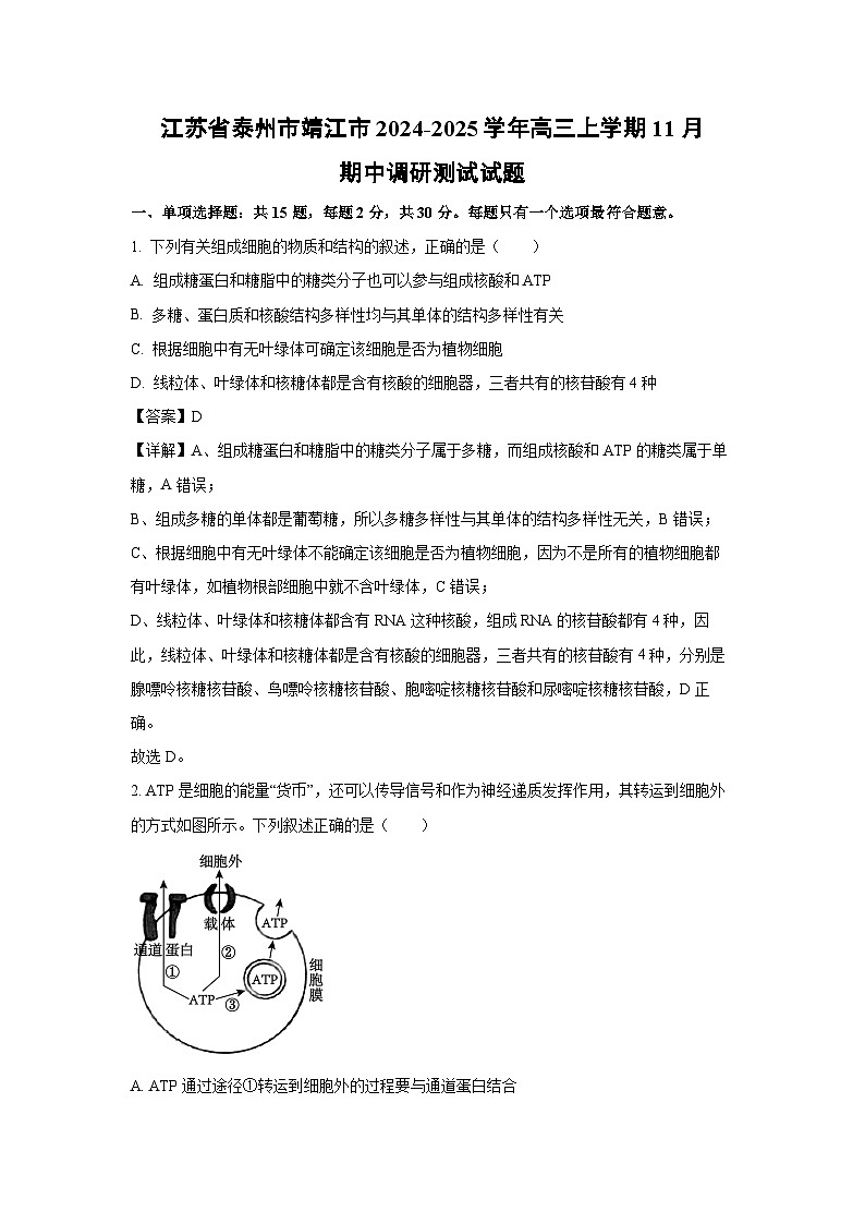 江苏省泰州市靖江市2024-2025学年高三（上）11月期中调研测试生物试卷（解析版）第1页