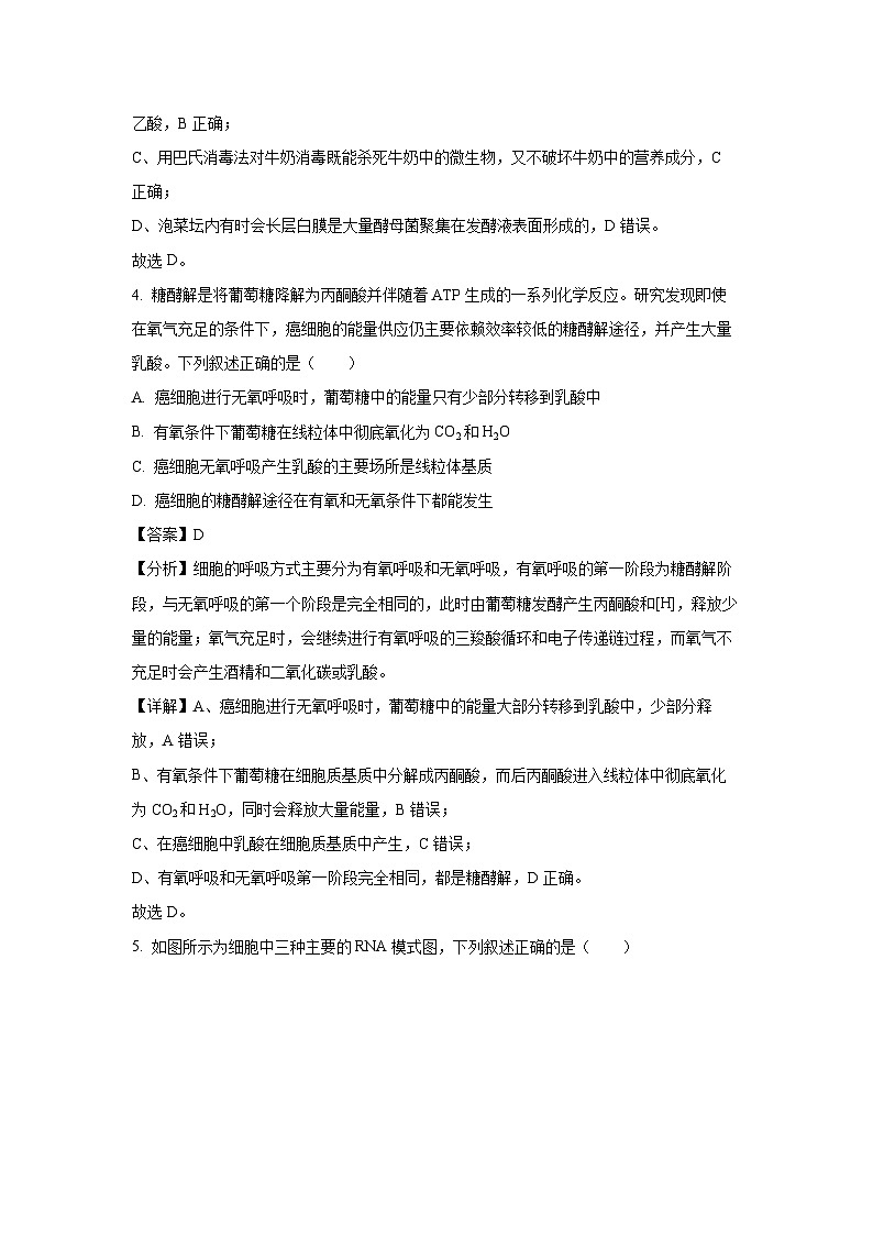 江苏省泰州市靖江市2024-2025学年高三（上）11月期中调研测试生物试卷（解析版）第3页