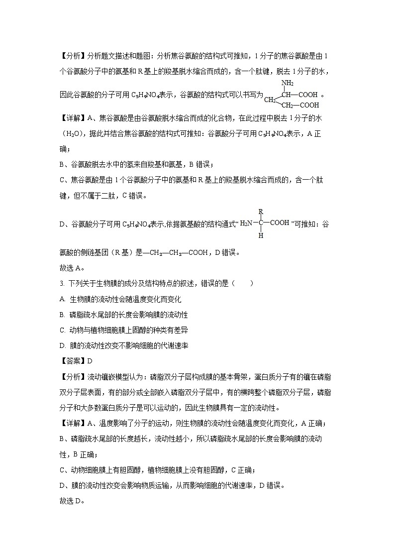 江苏省泰州市泰兴市2024-2025学年高三（上）期中 生物试卷（解析版）第2页