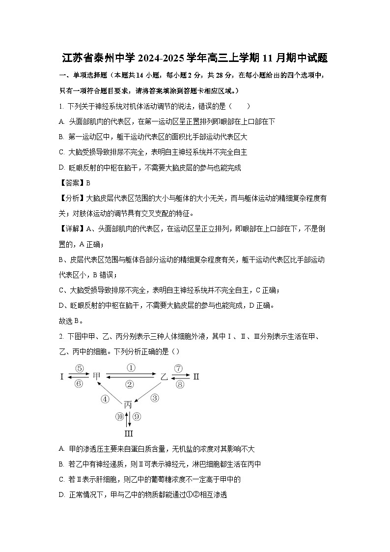 江苏省泰州中学2024-2025学年高三（上）11月期中生物试卷（解析版）第1页