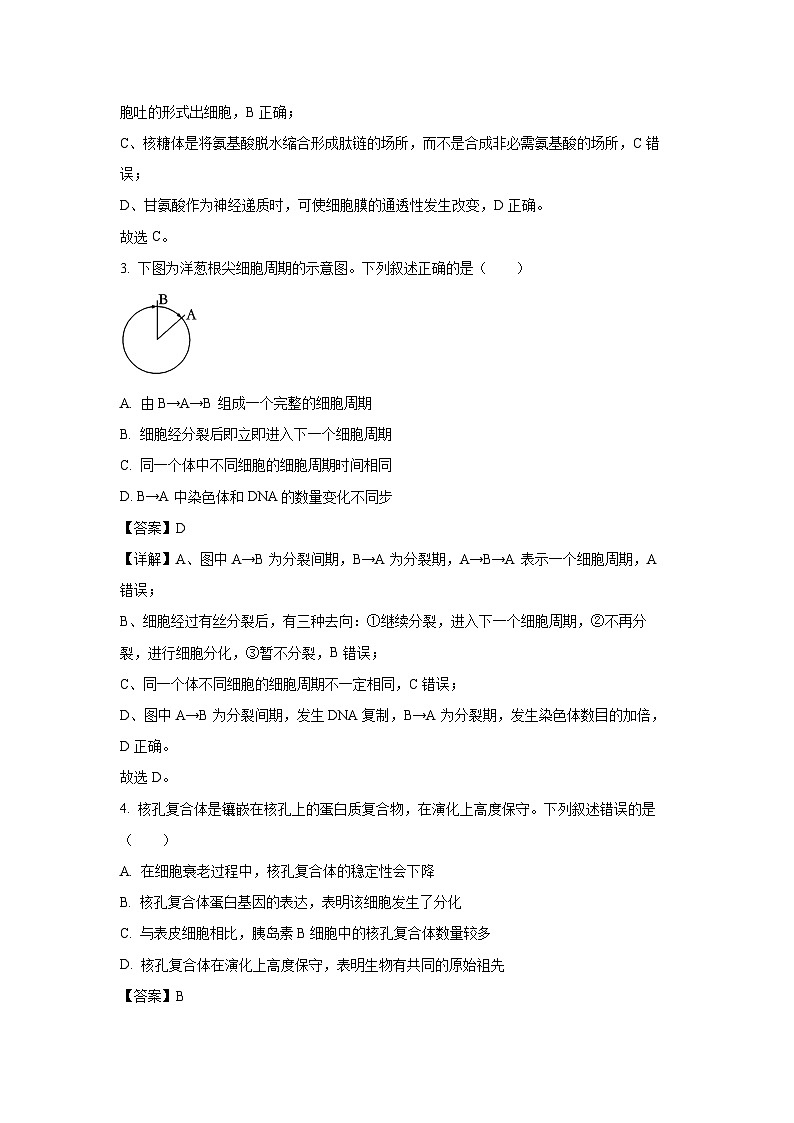 江苏省无锡市2024-2025年高三（上）期中考试生物试卷（解析版）第2页
