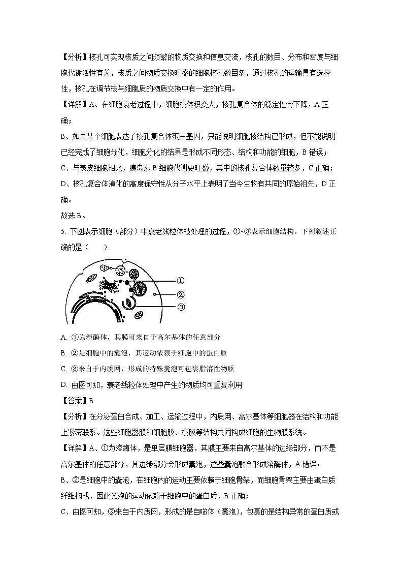 江苏省无锡市2024-2025年高三（上）期中考试生物试卷（解析版）第3页