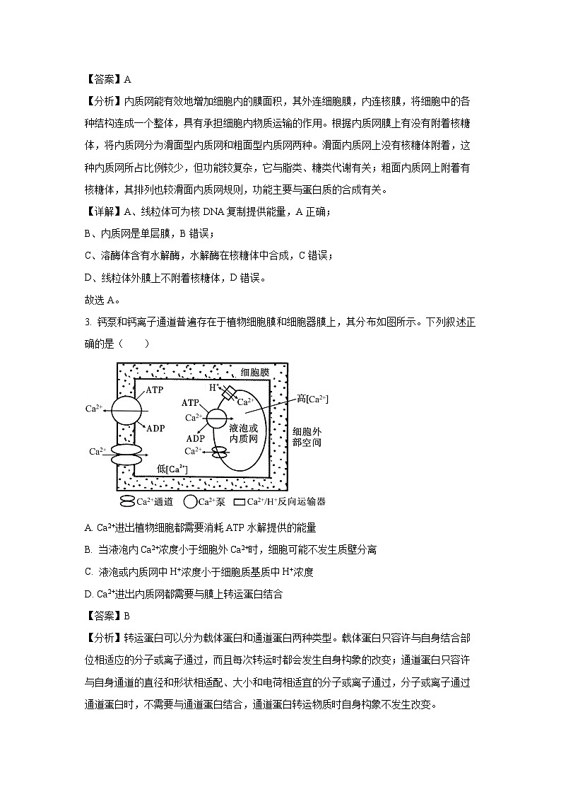 江苏省盐城市滨海县明达中学2024-2025学年高三（上）期中模拟生物试卷（解析版）第2页